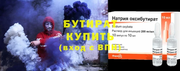 сатива Ростов