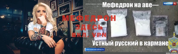 сатива Ростов