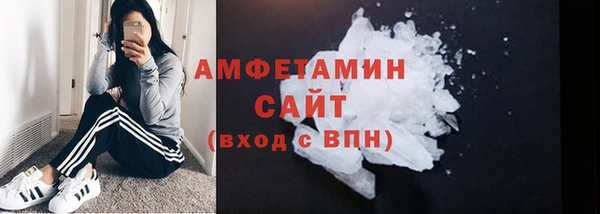 сатива Ростов