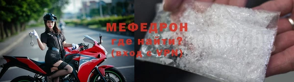 сатива Ростов
