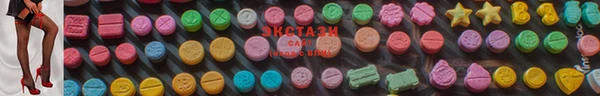 сатива Ростов