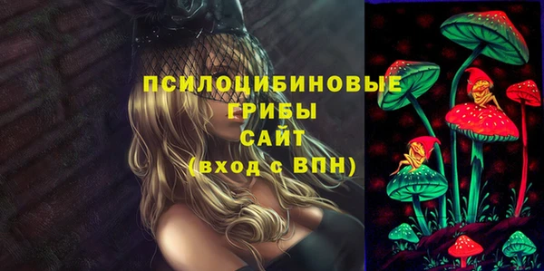 сатива Ростов