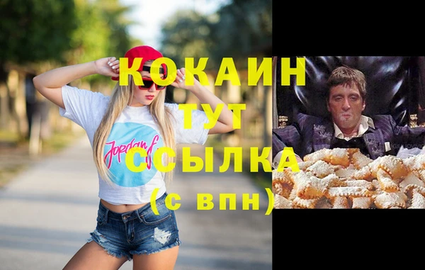 сатива Ростов