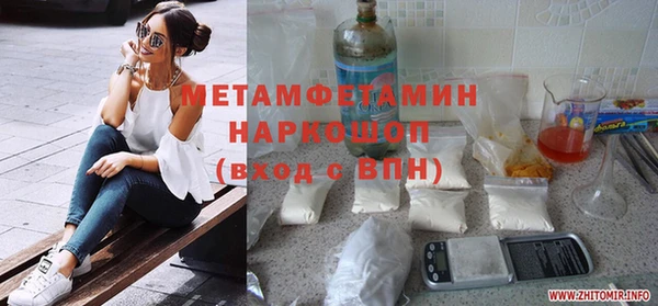 сатива Ростов