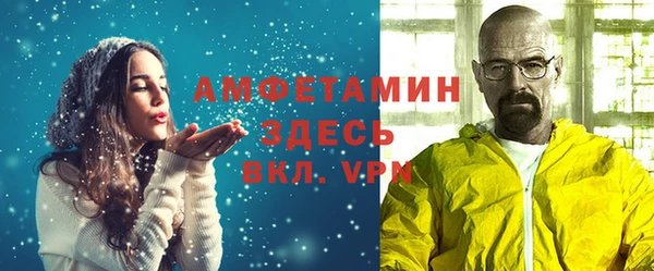 сатива Ростов