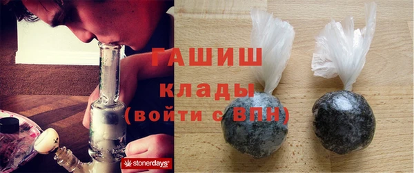 сатива Ростов