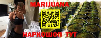 индика Моздок
