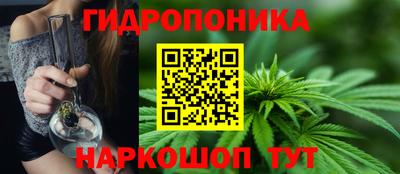 индика Моздок