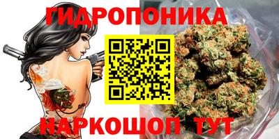 индика Моздок