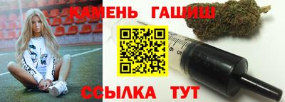 индика Моздок