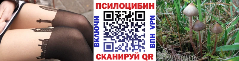 Галлюциногенные грибы прущие грибы mega сайт Югорск купить