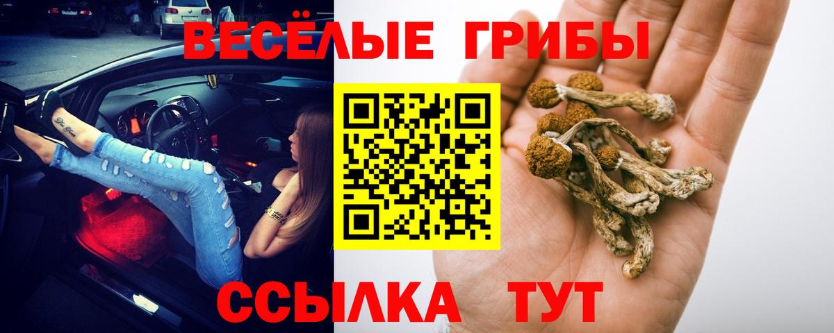 Псилоцибиновые грибы Psilocybine cubensis Югорск
